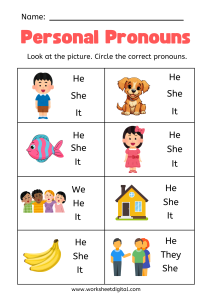 Personal Pronoun